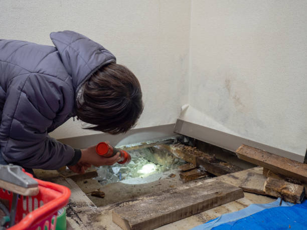 Best Mold Removal for HVAC Installations  in Fabrica, TX