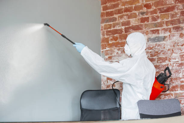Best Commercial Mold Inspection  in Fabrica, TX