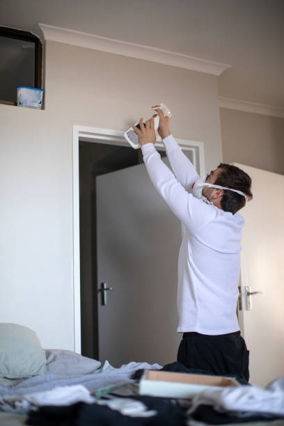 Best Black Mold Removal  in Fabrica, TX