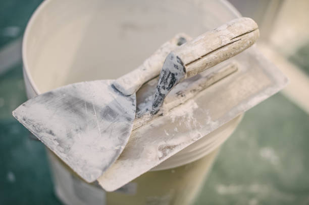 Best Mold-Related Health Consultation  in Fabrica, TX